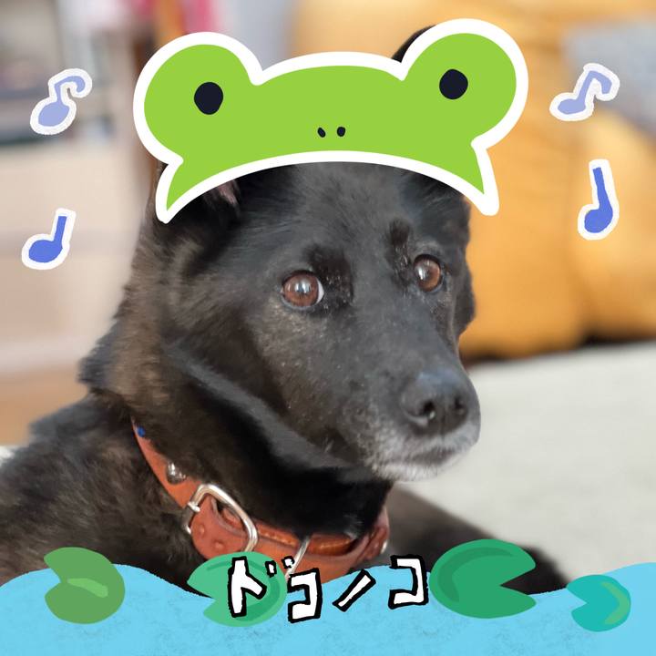 Dcbc1396 ec5b 4332 b373 c8197b0e0910 1717563178540