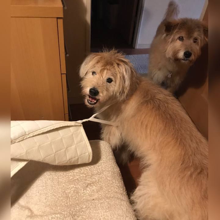 Dcbc2812 f8ec 4375 8888 8cd1d4f4e036 1633732229803