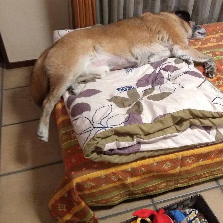 Dcbc6863 36ce 429e 9ccb ea0538da9661 1562368139054