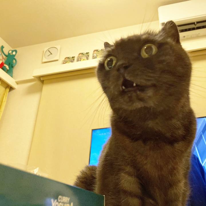 Dcbc784e af01 4e7e a1b0 037b968ea3a4 1599744439352