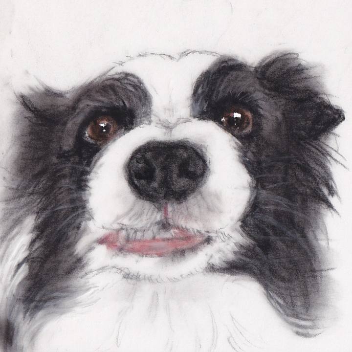 Dcbc93d4 93a5 48b1 9bd6 951ac22eadca 1718964775318