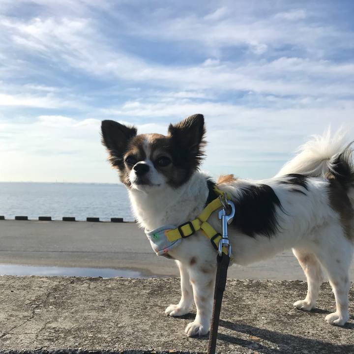 Dcbd025d ddb3 42bc 81f6 9138705e5c0d 1534596173901