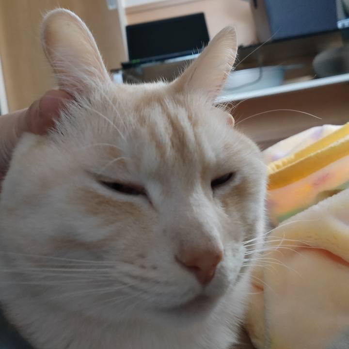 Dcbd0404 9fd0 48f9 8fd0 86adc930fb6e 1672812502927