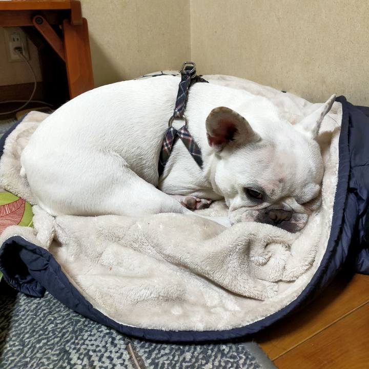 Dcbd0680 3b84 49ad 979c 3b064b6af471 1652137000924