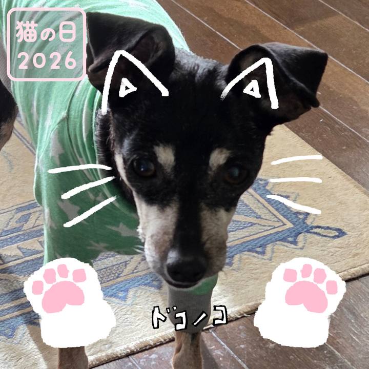 Dcbd267c d9d7 4d9a 894d eb1a2d36d08f 1771711717911