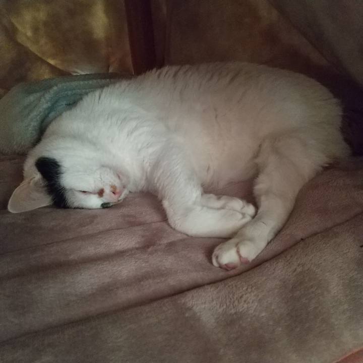 Dcbd38d8 0458 44e5 affc 36b078121558 1667950523660