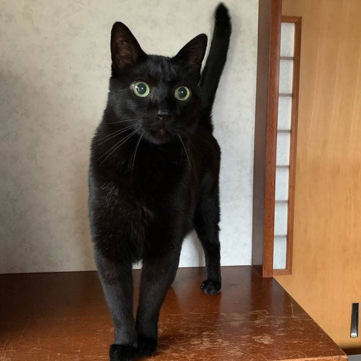 Dcbd659d 67d6 4671 b161 7fcaa542ab22 1585273409082