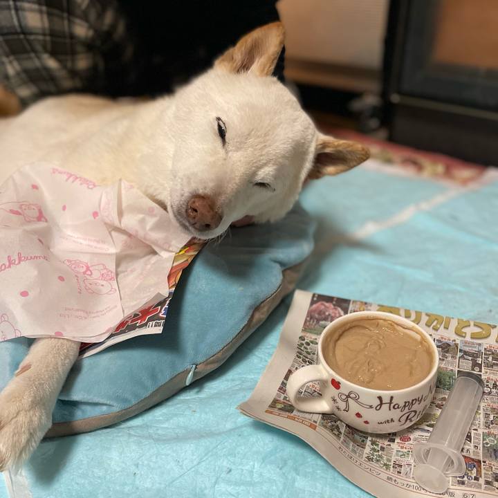 Dcbd7179 a9fc 4b30 981f b22d7c86a58f 1647703441627