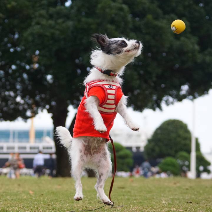 Dcbd780f 8348 4d21 a08a 524977a44bc6 1540635279511