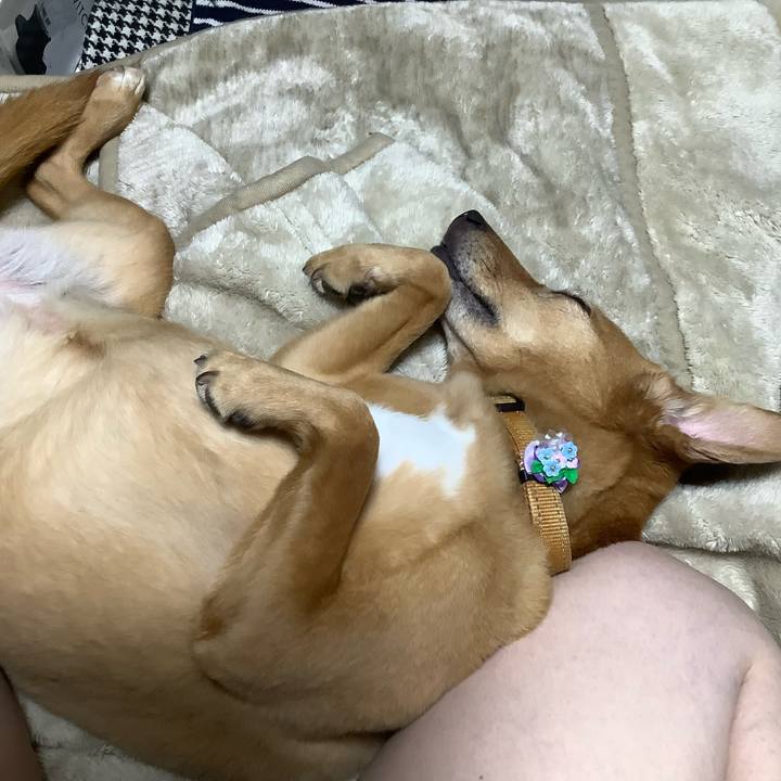 Dcbd8e59 d606 4c24 8ce9 0e2778daf3c5 1623942316192