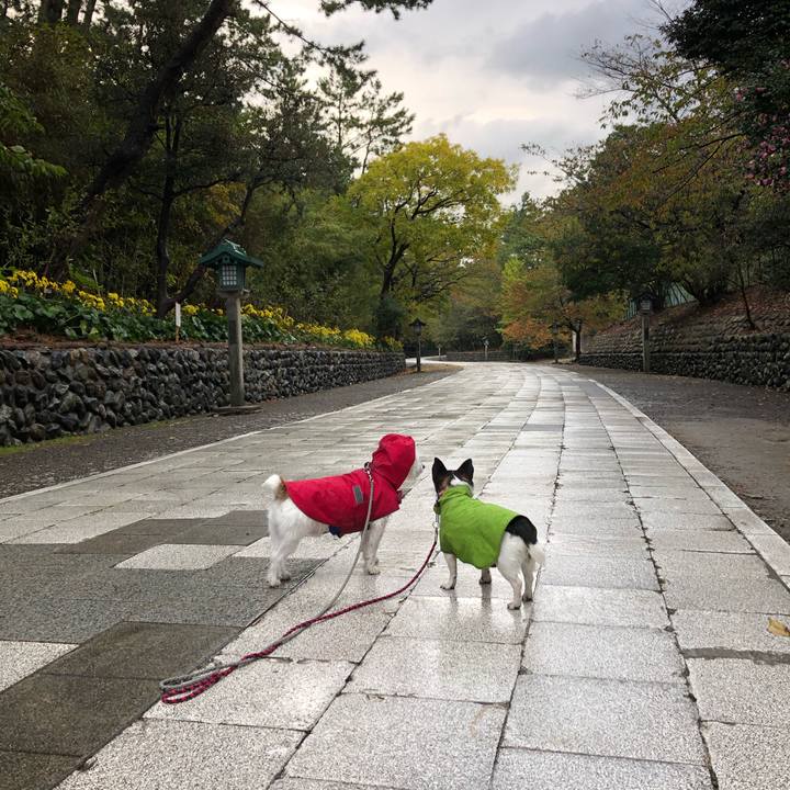 Dcbdbc65 5884 4797 9de1 9479e29b8260 1572997085282