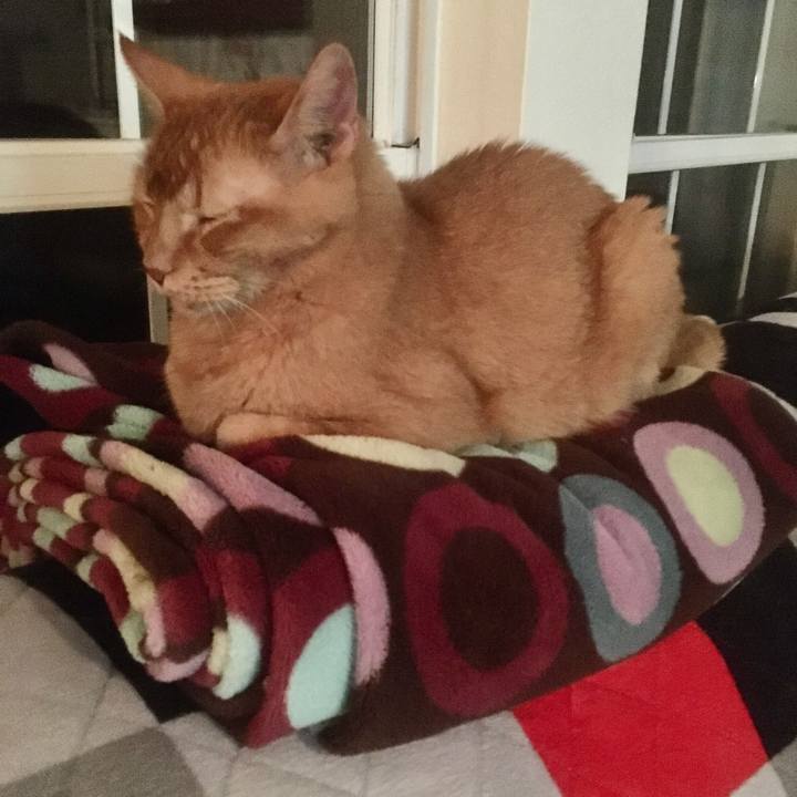 Dcbde619 2cd8 4ccd ab98 ff32f4373da7 1661909076184