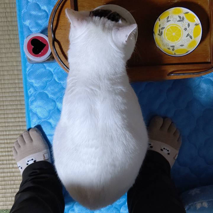 Dcbe626c 880f 4253 a3a2 272297cb96f2 1668248083852