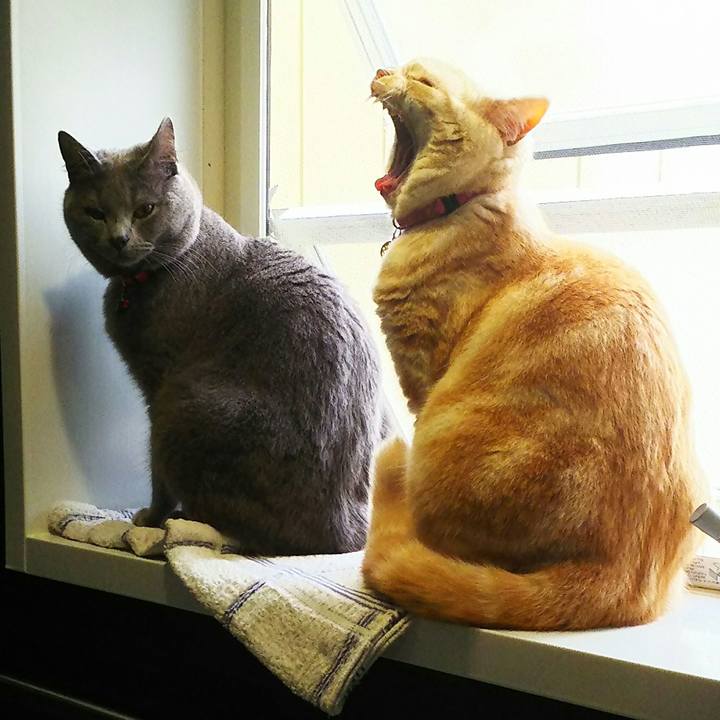 Dcbe6a2c 25a6 4748 9978 f54be395612c 1522980946168