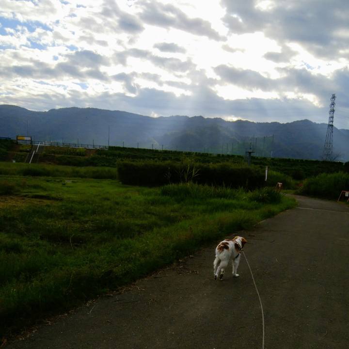 Dcbe7189 40cd 4fec a5c0 f4f8799e8b20 1537920820854