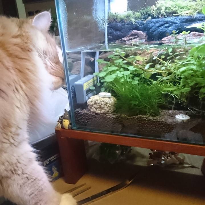 Dcbe7de5 53ab 4676 94ac 4965e8b956f3 1515909676573