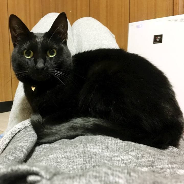 Dcbeafc8 5f67 406b a03a f70dbcbc20b9 1517911200620