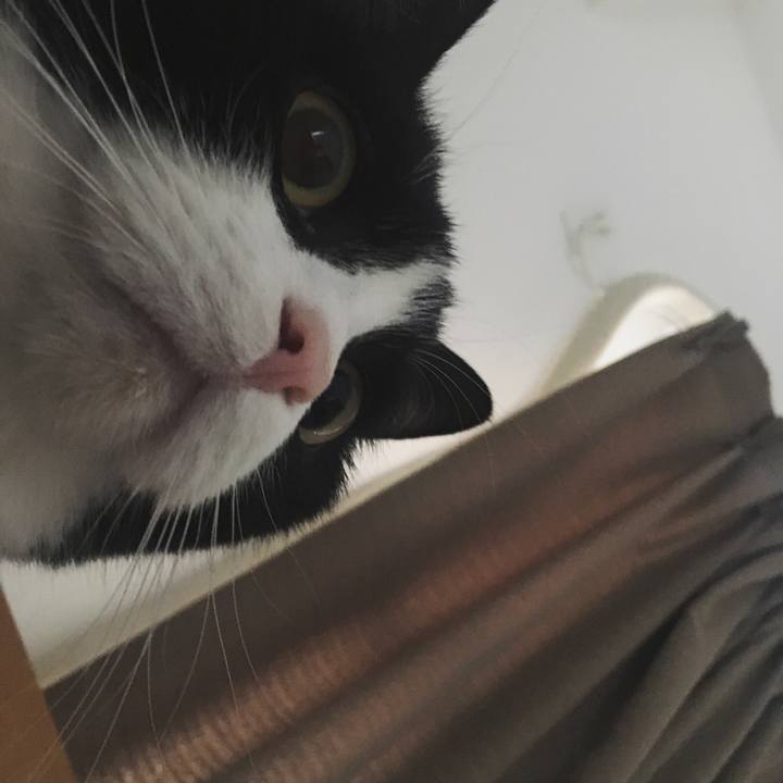 Dcbef9db 6297 438d 85df d8ae5f8cb54e 1554798733204