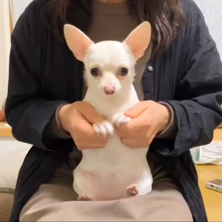 Dcbf01b2 80b5 4dd6 a387 6625eceb21bf 1708948822474