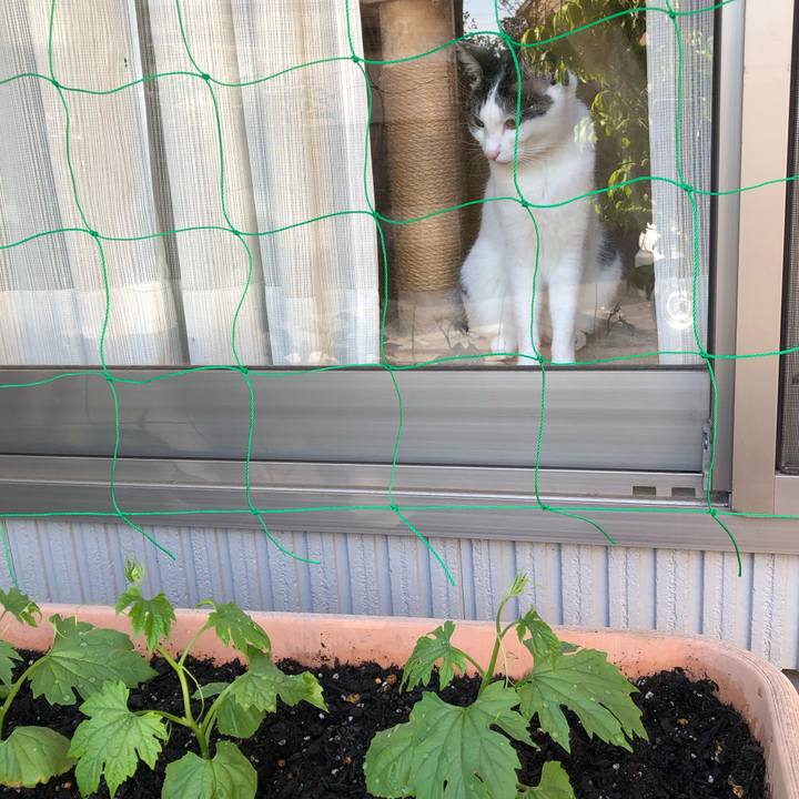 Dcbf18c0 bf3f 4fcd 83f3 40b7efd4f4ef 1685002689313