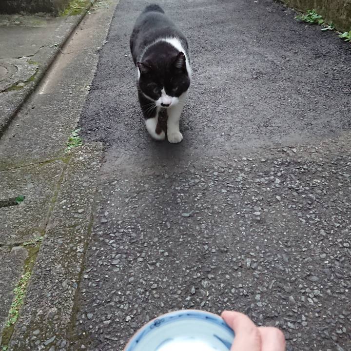 Dcbf1a92 2bbb 46c5 bdde 7addad9b97e5 1626773345006