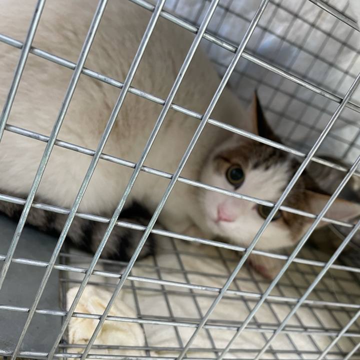 Dcbf5c12 5be1 47d7 ab07 1ec292779b7a 1635816416498