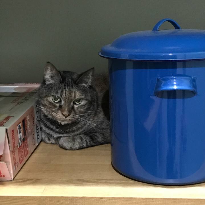 Dcbf7938 1b4b 4f5b a0b2 a26e6e01d20f 1551614472704