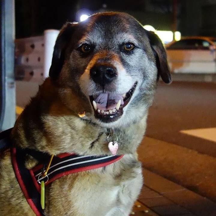 Dcbf8ff8 050c 4bdc 92d9 9079e438f114 1521890240681