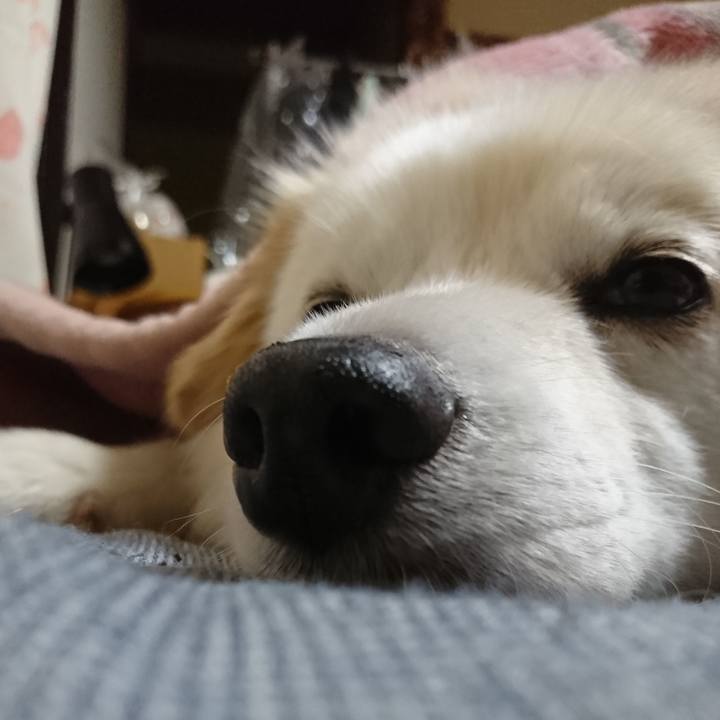 Dcbf99c5 2083 4151 a965 1027566722ab 1533589756582