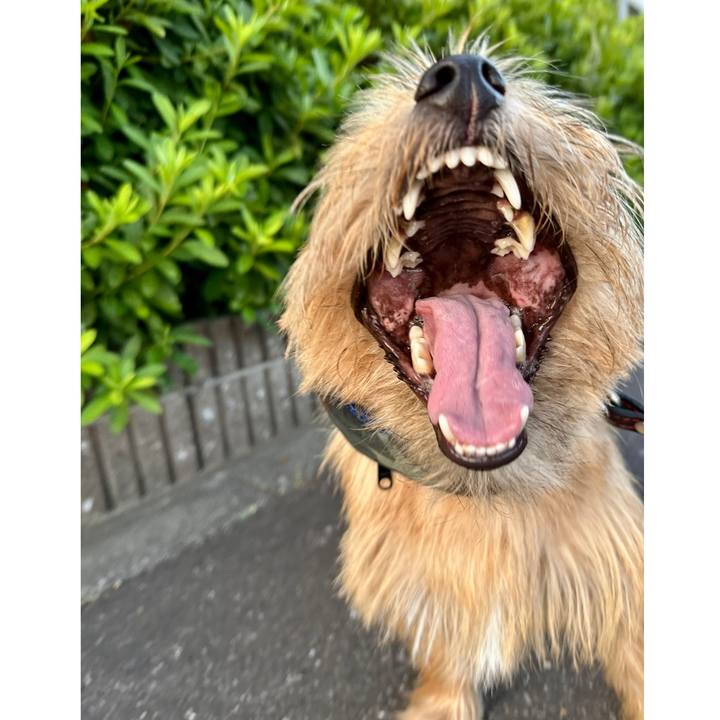 Dcbfb8a0 0369 4255 8079 cfd2904a5bc5 1753358344155