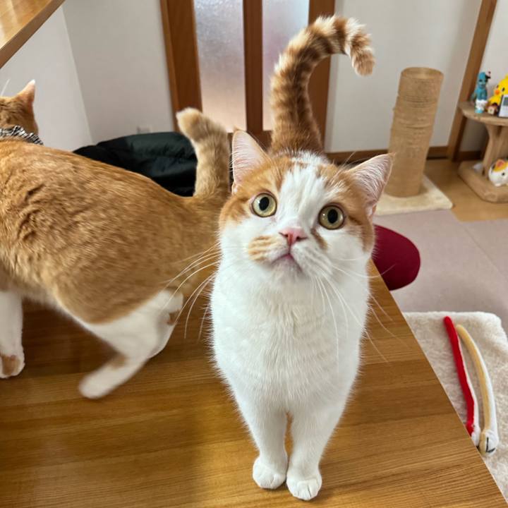 Dcbfe9a4 64db 4d9e a28a 4387fa107a05 1771822621811