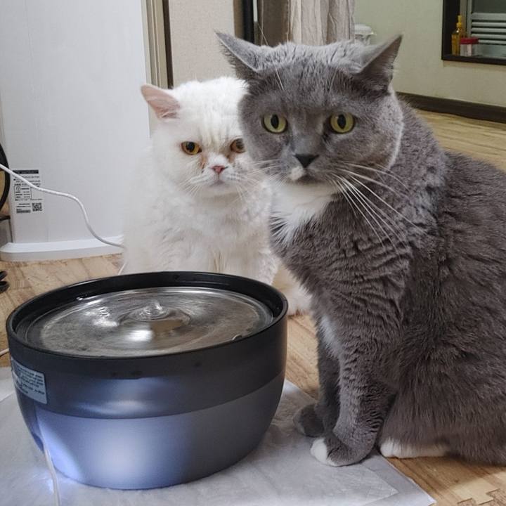 Dcbff53f 5ee0 4f0d a164 a51780f55224 1773999954630