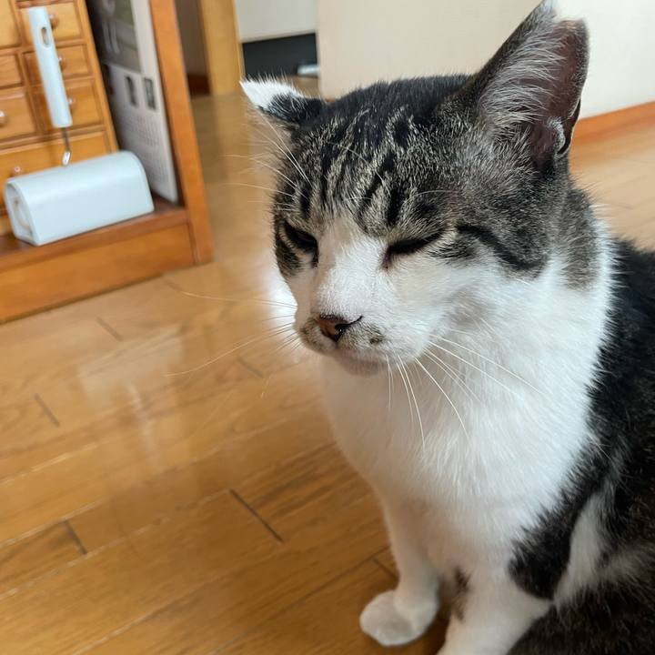 Dcc014e2 a67a 42ba 97ea bcac7a1d268b 1689404070774