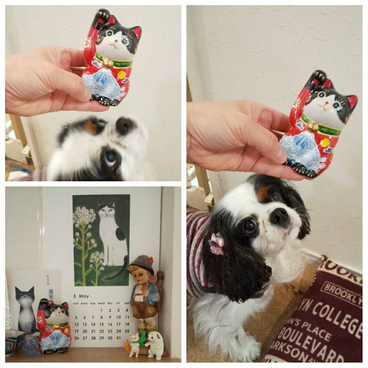 Dcc06aa1 8a0c 4dee 934e baf0dba2a23d 1557115717393