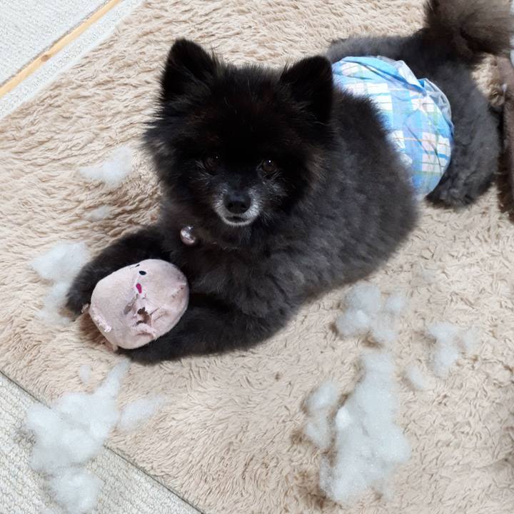 Dcc06f2d fe11 42a2 a80a 54633e5757f9 1542923000263