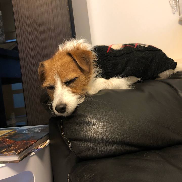 Dcc07df9 8a8a 4216 8309 f39c9a5d0390 1577009399210