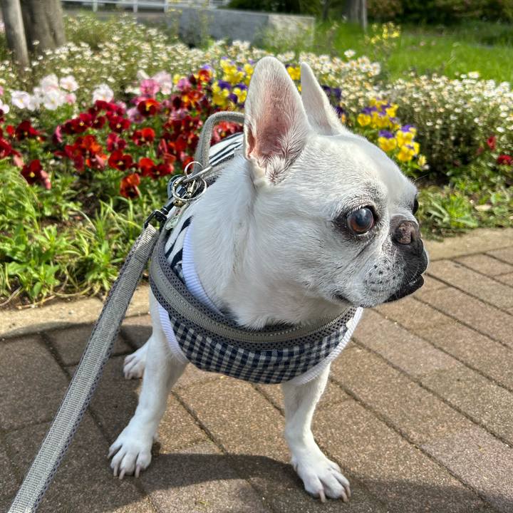 Dcc0d980 5a19 4e93 86ed 0548870847a3 1746968366570