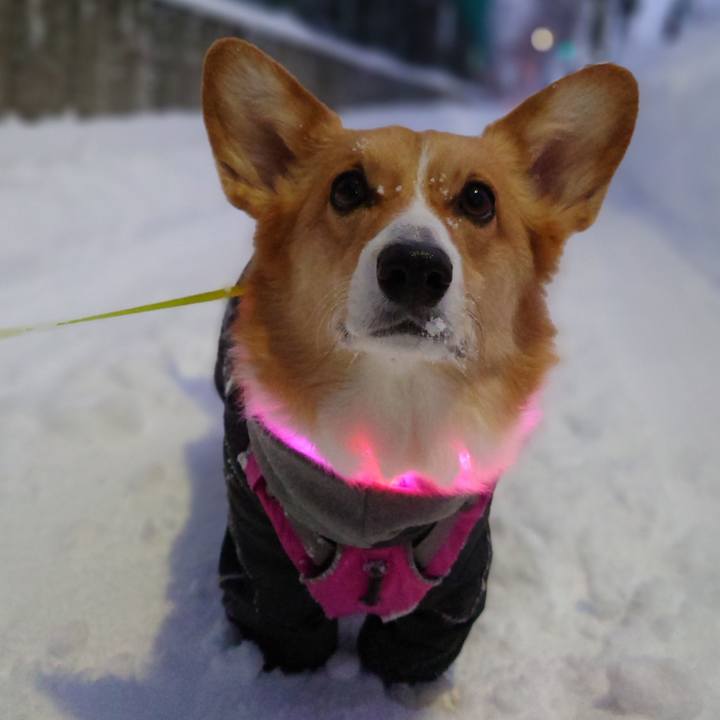 Dcc0ea9d 656d 4a46 872e d76e956a35fb 1768345606808