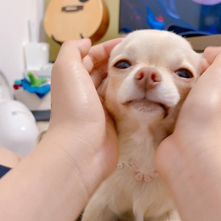 Dcc10138 a446 4f5a a8a7 fda3e0c5b0a3 1619426268864