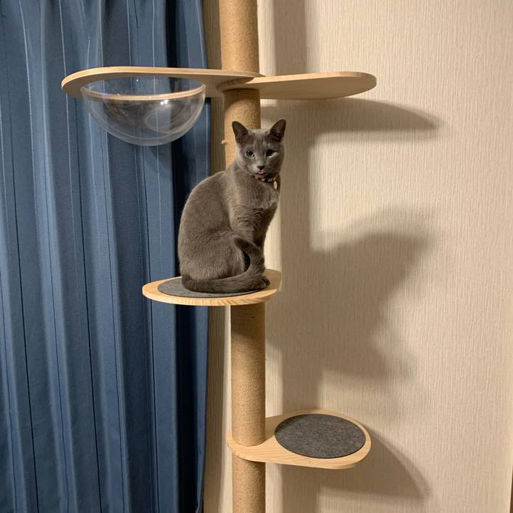 Dcc1518b 88dc 4f9e a24e a7d37c9eafe9 1610190352271