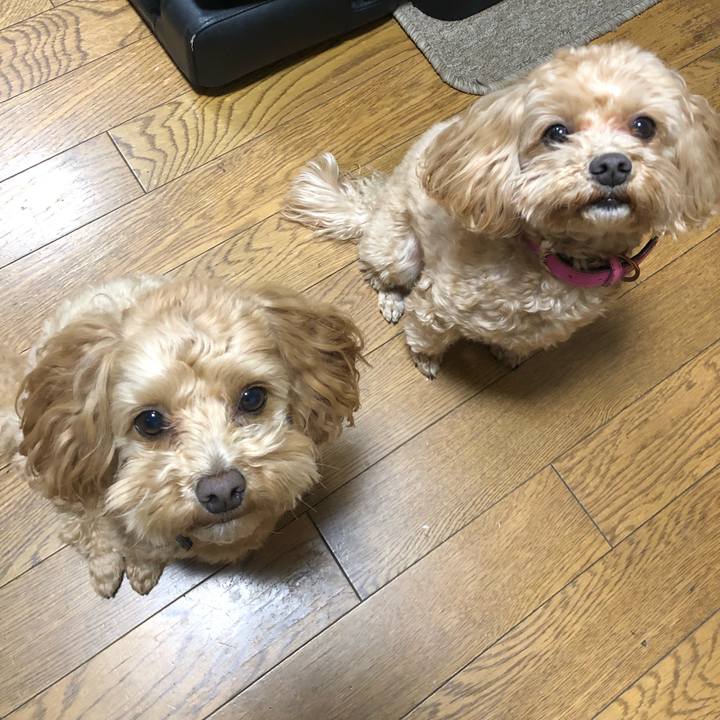 Dcc1d71d a3ba 49d1 a489 3f9eb39d6b88 1648207069851