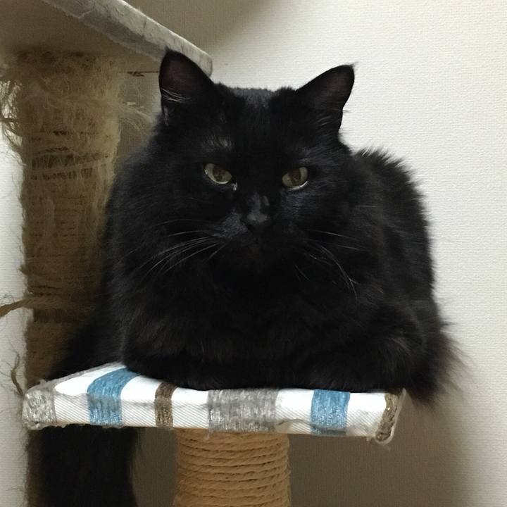 Dcc1f892 5d28 464e b0b2 228c81e78e6e 1517926857540