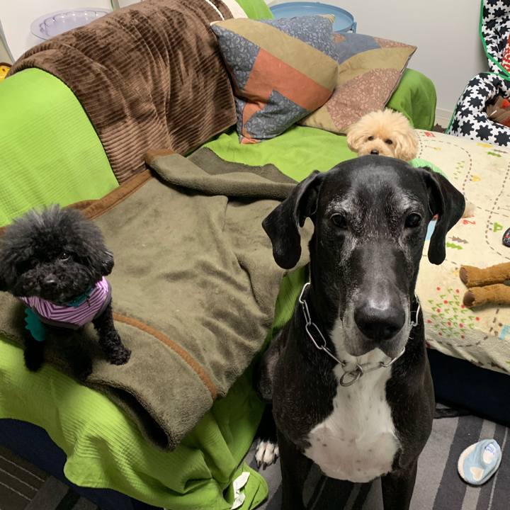 Dcc211d3 8a0b 4aa6 a3ef e83c8a8c233e 1554849877926