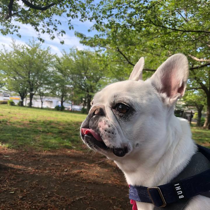 Dcc24f43 0814 4b24 8f8d f62d227c0cdc 1587863483420