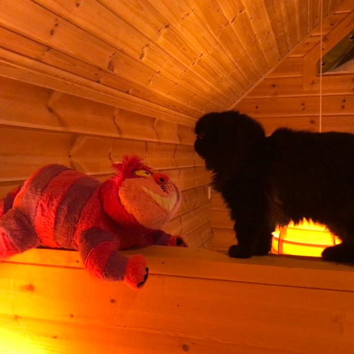 Dcc25b7f eee1 4042 8ccf 9d16fa32cdf2 1537627726706