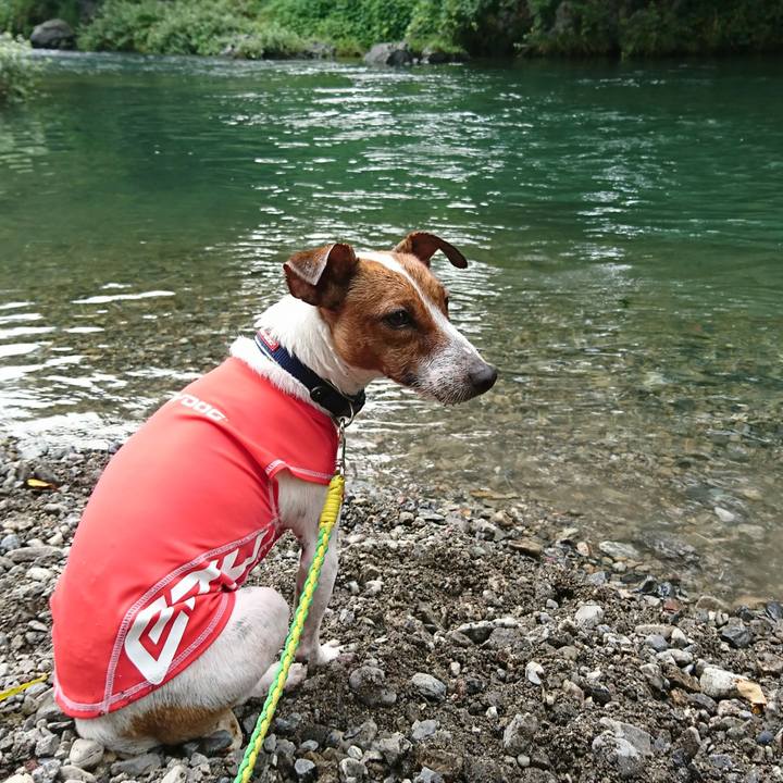 Dcc26dd9 90fb 4f8b aff7 57087c1cf2ab 1566119437536