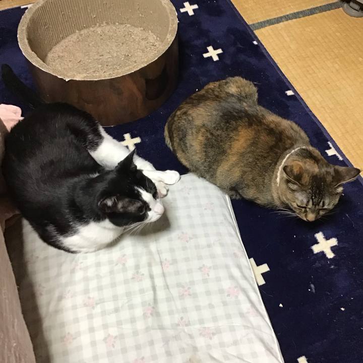 Dcc2cedb 89e7 47b1 b691 fd45543dd903 1715341180008