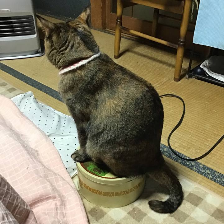 Dcc2dbf5 30c2 4030 8858 1212c11ff96f 1667829191231