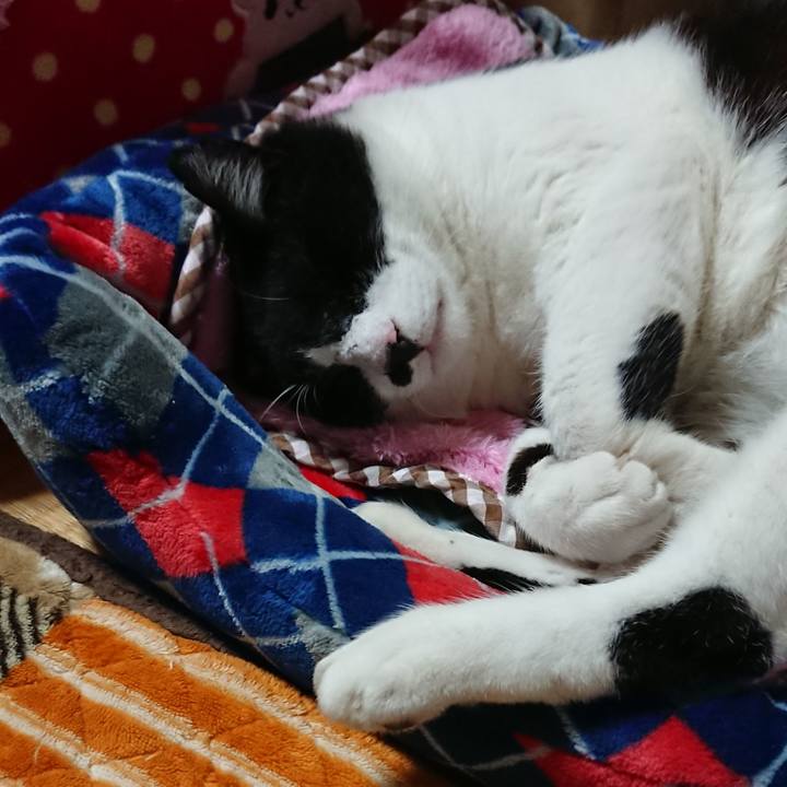 Dcc2e9a1 d593 4326 9260 7e7dba7964b5 1541600102060