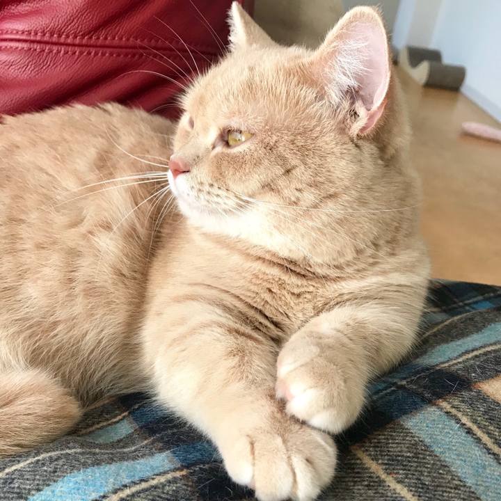 Dcc306bd 104c 4204 b333 08271ba1e8f5 1540621169076